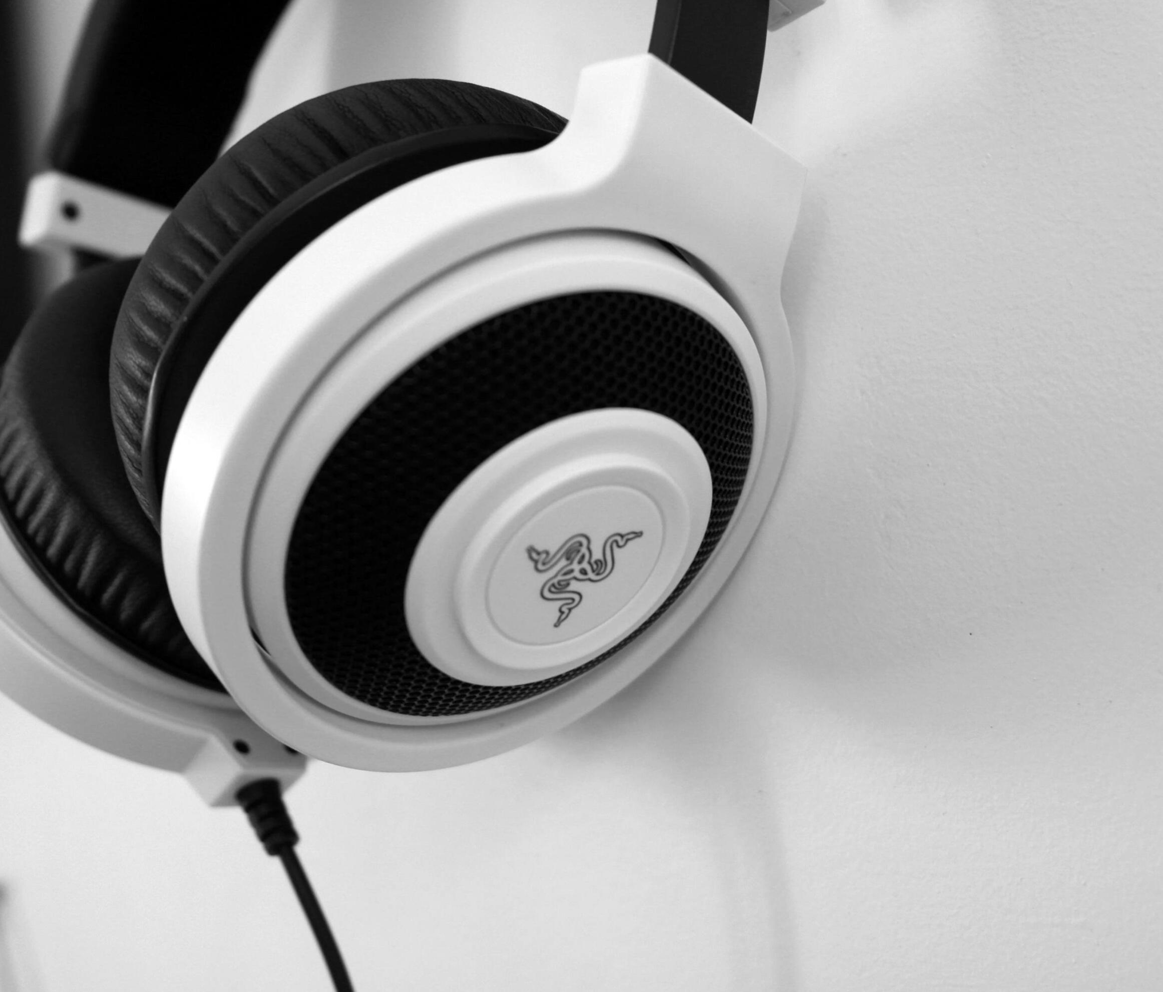 Headphones Headphones Image